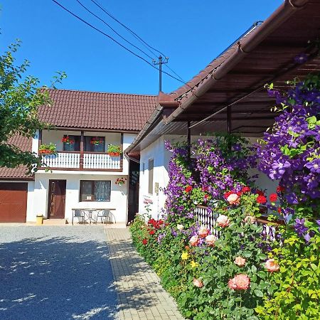 Appartamento Casa Sallai Sovata Esterno foto