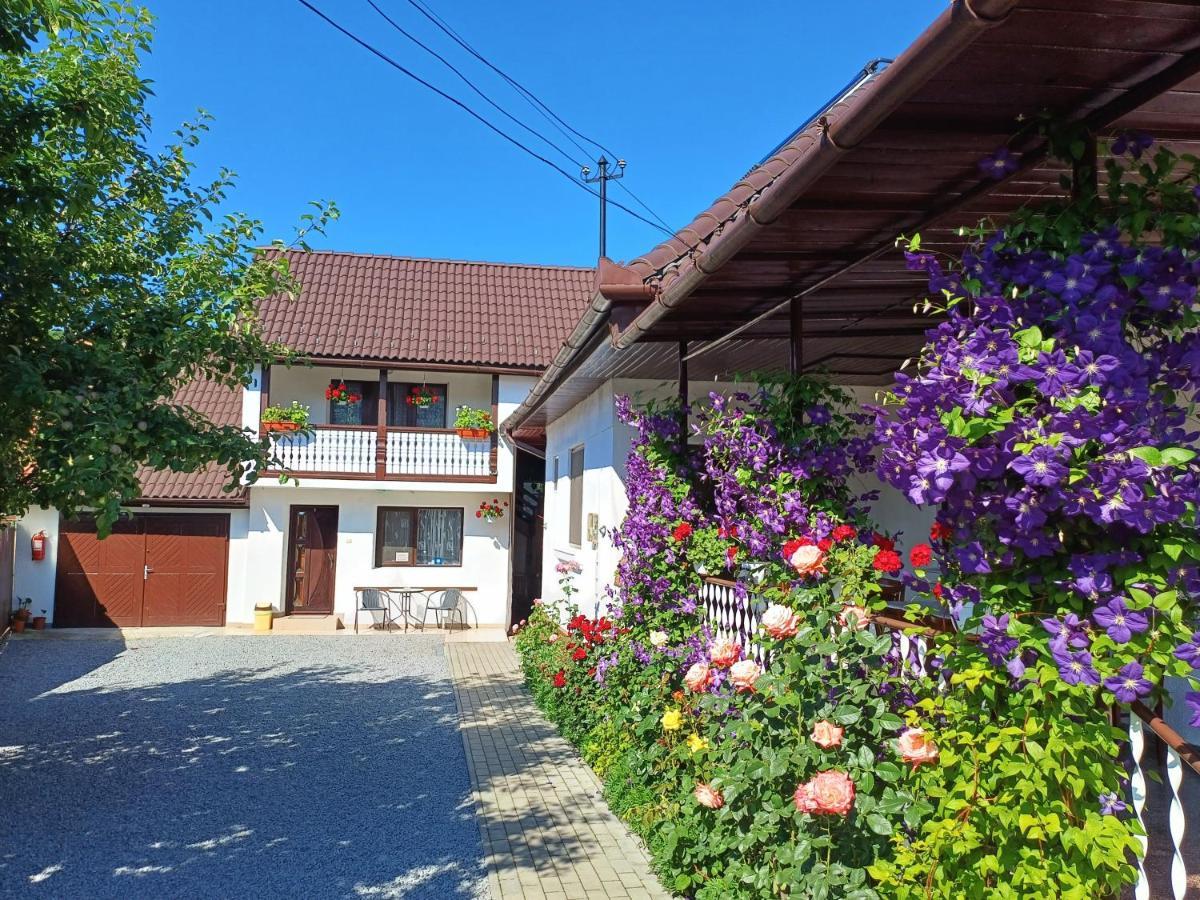 Appartamento Casa Sallai Sovata Esterno foto